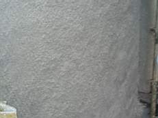 CROBALLY 1057.jpg