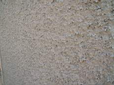 CROBALLY 1076.jpg