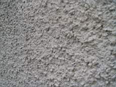 CROBALLY 1091.jpg