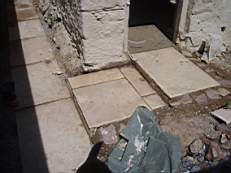 CROBALLY 1227.jpg