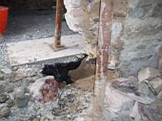 CROBALLY 130.jpg