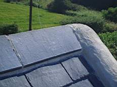 CROBALLY 1381.jpg