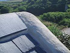 CROBALLY 1384.jpg