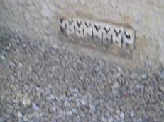 CROBALLY 1386.jpg