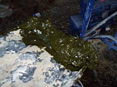 CROBALLY 247.jpg