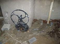 CROBALLY 676.jpg