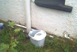 IM006021.JPG