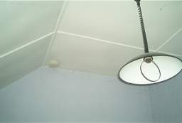 IM006038.JPG