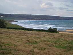 P1010005.JPG