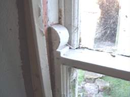 P1010007.JPG