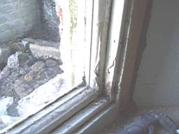 P1010009.JPG