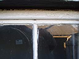 P1010015.JPG