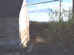 P1010069.JPG
