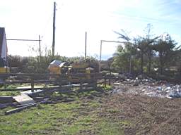 P1010075.JPG