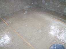 crobally 1022.jpg