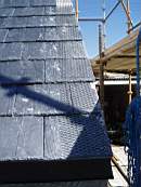 crobally 880.jpg