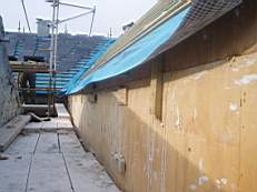 crobally 905.jpg