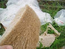 crobally 923.jpg