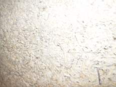 crobally 970.jpg