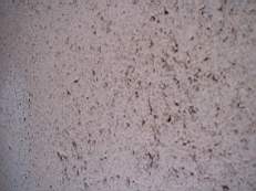 crobally 986.jpg