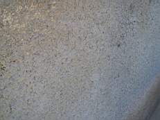 crobally 993.jpg