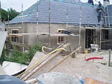 crobally 998.jpg