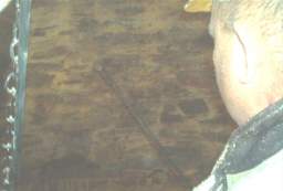 IM006566.JPG