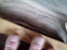 st_johnthebabtist_2200.jpg