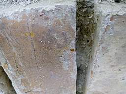 fkilliney -124335.jpg