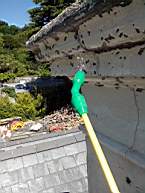 fkilliney -133795.jpg