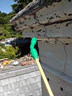 fkilliney -133800.jpg