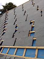fkilliney -134105.jpg