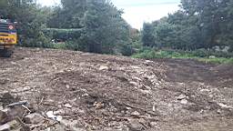 fkilliney 104040.jpg
