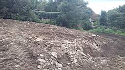 fkilliney 104045.jpg