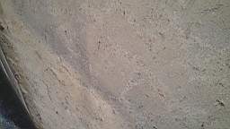 fkilliney 106000.jpg