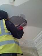 fkilliney 120690.jpg