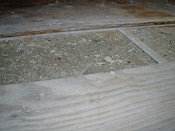 glenaphuca-2503.jpg