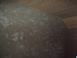 glenaphuca-2514.jpg