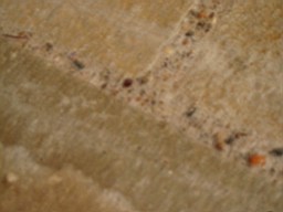 glenaphuca-2710.jpg