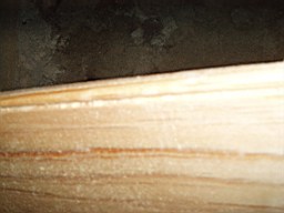 glenaphucafarm-1453.jpg