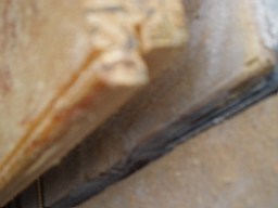 glenaphucafarm-1455.jpg