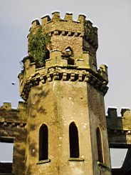 gortnakelly-1166.jpg