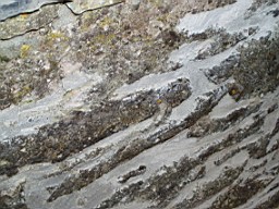 gortnakelly-1356.jpg