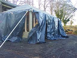 PB280009.JPG