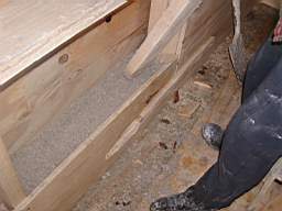 PB300044.JPG