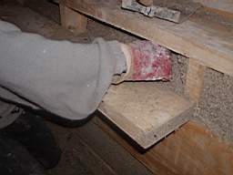 PB300071.JPG
