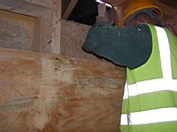 PC070016.JPG