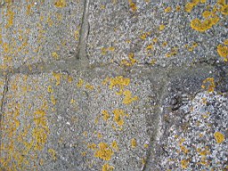 howthtower-1416.jpg