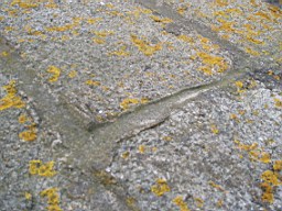 howthtower-1417.jpg