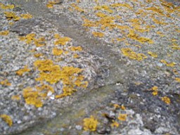 howthtower-1418.jpg